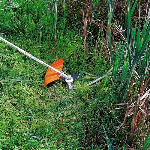 Driehoeksmes - Afbeelding 2